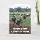 Search for chicken birthday cards Farmer