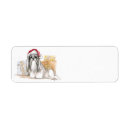 Search for shih tzu return address labels Canine