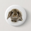 Search for baby easter badges Pet