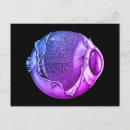 Search for weird postcards Vintage