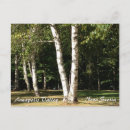 Search for annapolis postcards Nova scotia