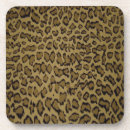 Search for animal print coasters Exotic