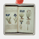 Search for illustrating christmas tree decorations English