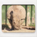 Search for zoos mousepads Endangered