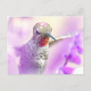 Search for hummer postcards Flowers