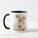 Search for dog shot mugs Cute