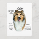 Search for rough postcards Collie