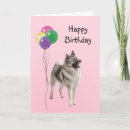 Search for norwegian birthday cards Animal