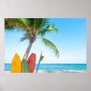 Search for surfboard posters Surfer