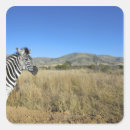 Search for plains stickers Nature