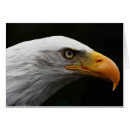 Search for gold eagle cards Black