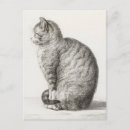Search for bernard postcards Antique