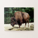 Search for bison puzzles Animal