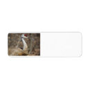 Search for paper crane return address labels Cranes