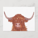 Search for cow postcards highland