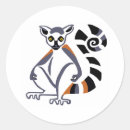 Search for ring tailed lemur gift wrap Wildlife