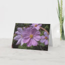 Search for pink flowers birthday cards Garden