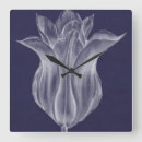 Search for tulip clocks Botanical