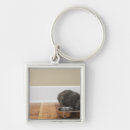 Search for bowl key rings Food
