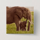 Search for image square badges Animals