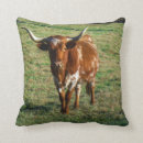Search for brown cow cushions Western