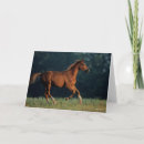Search for bob cards Animal