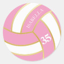Search for pink volleyball stickers Sports