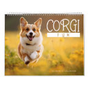 Search for corgi calendars Cute