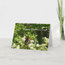 Search for butterfly mothers day cards Flowers