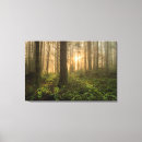 Search for cedar tree art Forest