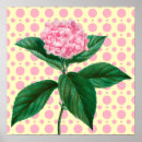 Search for vintage hydrangea posters Retro
