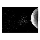 Search for fertilised Sperm