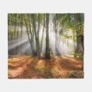 Search for for misti blankets Forest