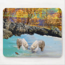 Search for polar bears mousepads Cubs