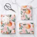 Search for peach wrapping paper Blush