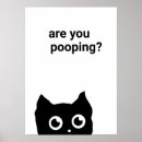 Search for funny posters cat