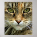 Search for brown eye posters Portrait
