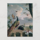 Search for palace postcards Peacock