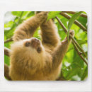 Search for getty mousepads Cute