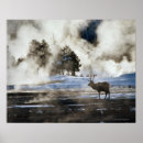 Search for wild side posters Horizontal
