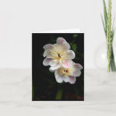 Search for pale pink note cards Flowers