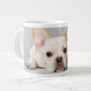 Search for french bulldog puppy mugs Purebred dog