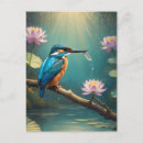 Search for kingfish postcards Animal