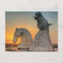 Search for kelpy Scotland