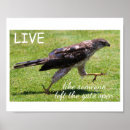 Search for like this posters Funny