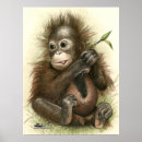 Search for orangutan posters Baby