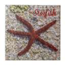 Search for starfish tiles Beach