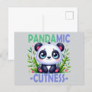 Search for cute baby panda postcards Funny
