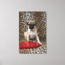 Search for studio shot canvas prints Box