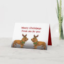 Search for dachshund merry christmas cards Cute